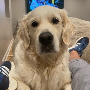 Meet your Posher, Anita